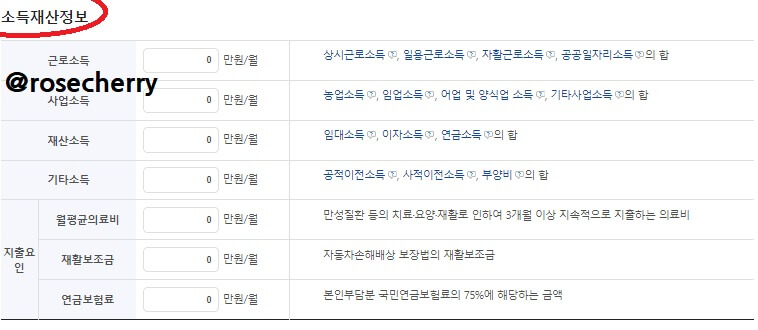 관련입력정보들-2-소득재산정보