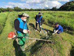벌초대행 가격비교