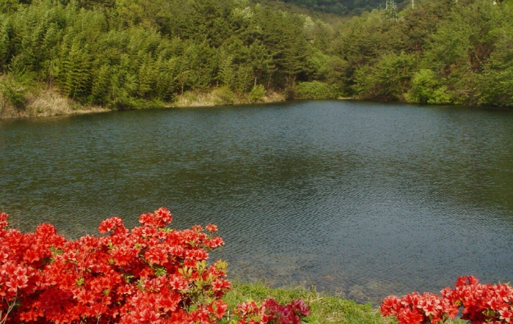 칠곡 가볼만한곳