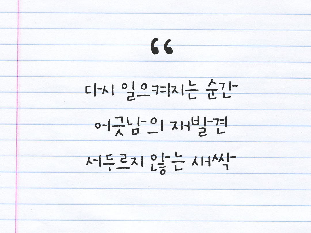 2026년 3월 22일 피어나네 감사노트|일상을 행복으로 바꾸는 기록 하루 3줄 감사일기