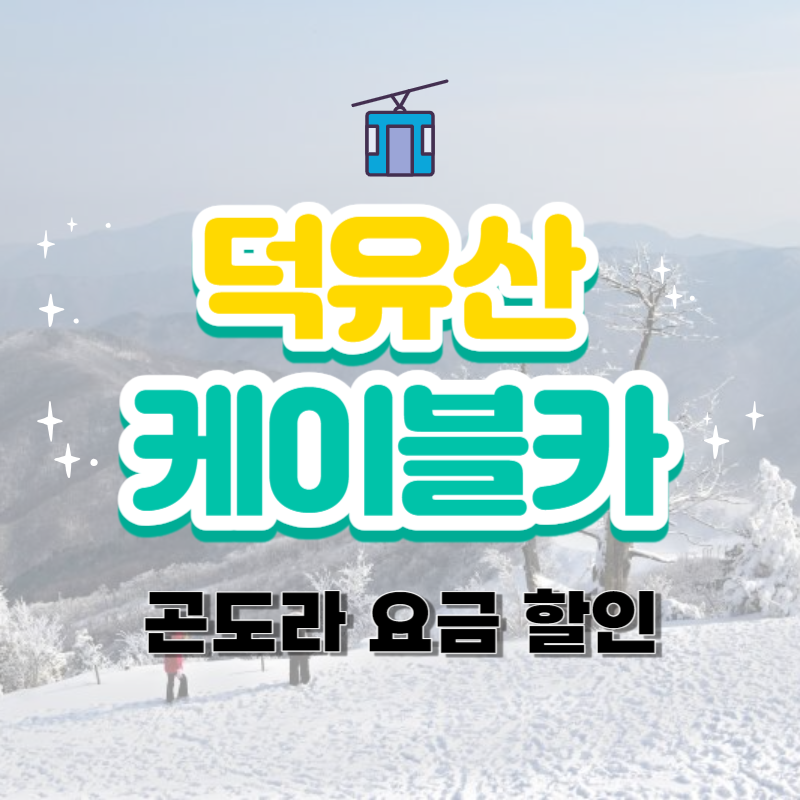 덕유산 케이블카 요금 할인