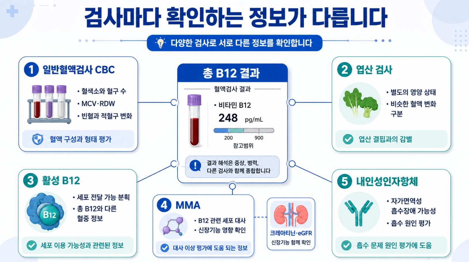 총 B12 결과와 CBC, 엽산, 활성 B12, MMA, 내인성인자항체의 역할을 연결해 보여주는 검사 관계도 인포그래픽