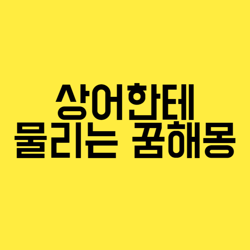 상어한테 물리는 꿈해몽