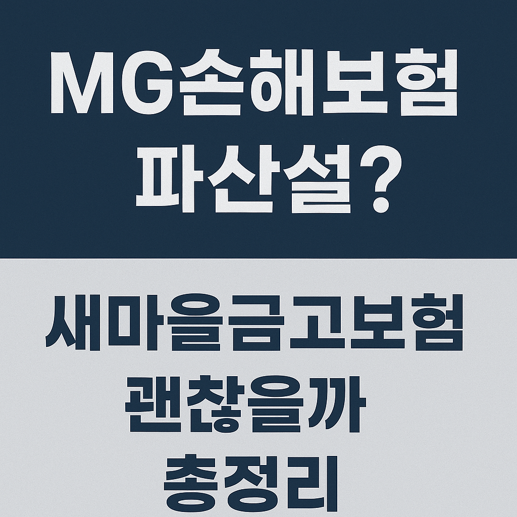 MG손해보험 관련 사진
