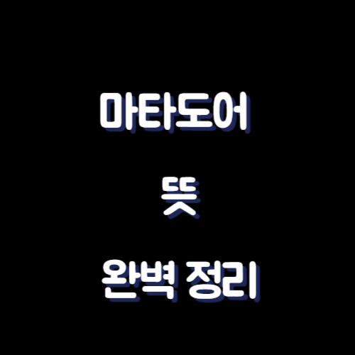 마타도어 뜻