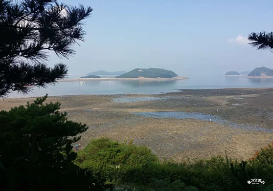 도비도