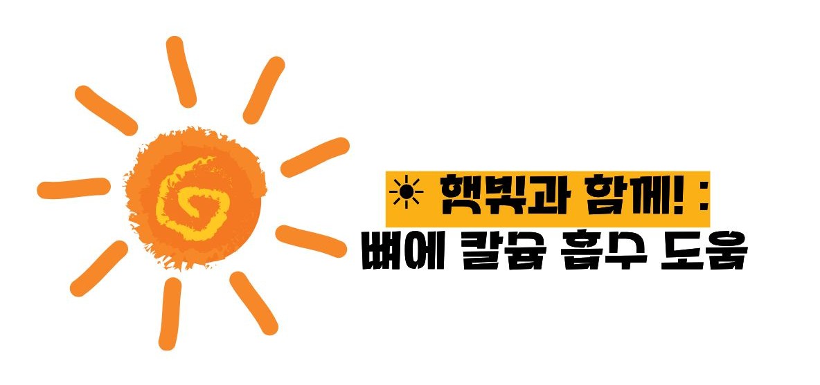 뼈에 좋은 음식