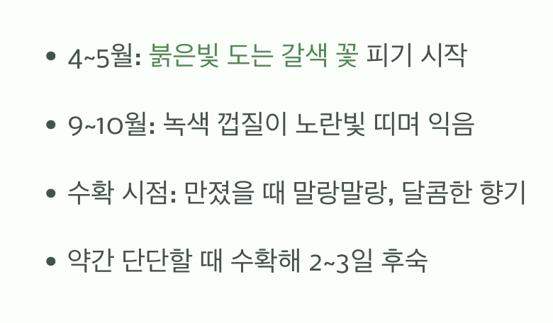 가장 달콤한 순간, 수확의 기쁨