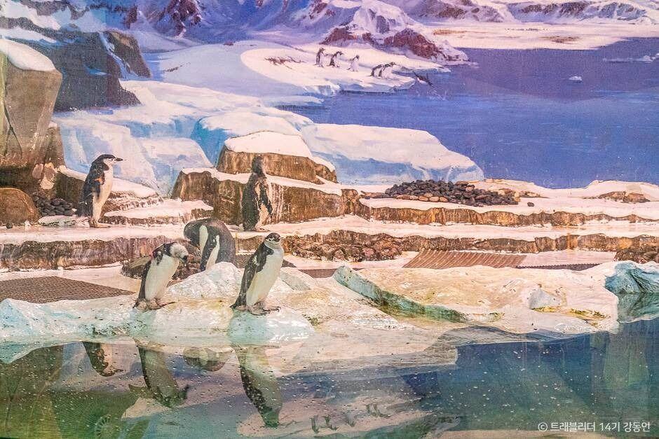 서천 가볼만한곳 베스트 10