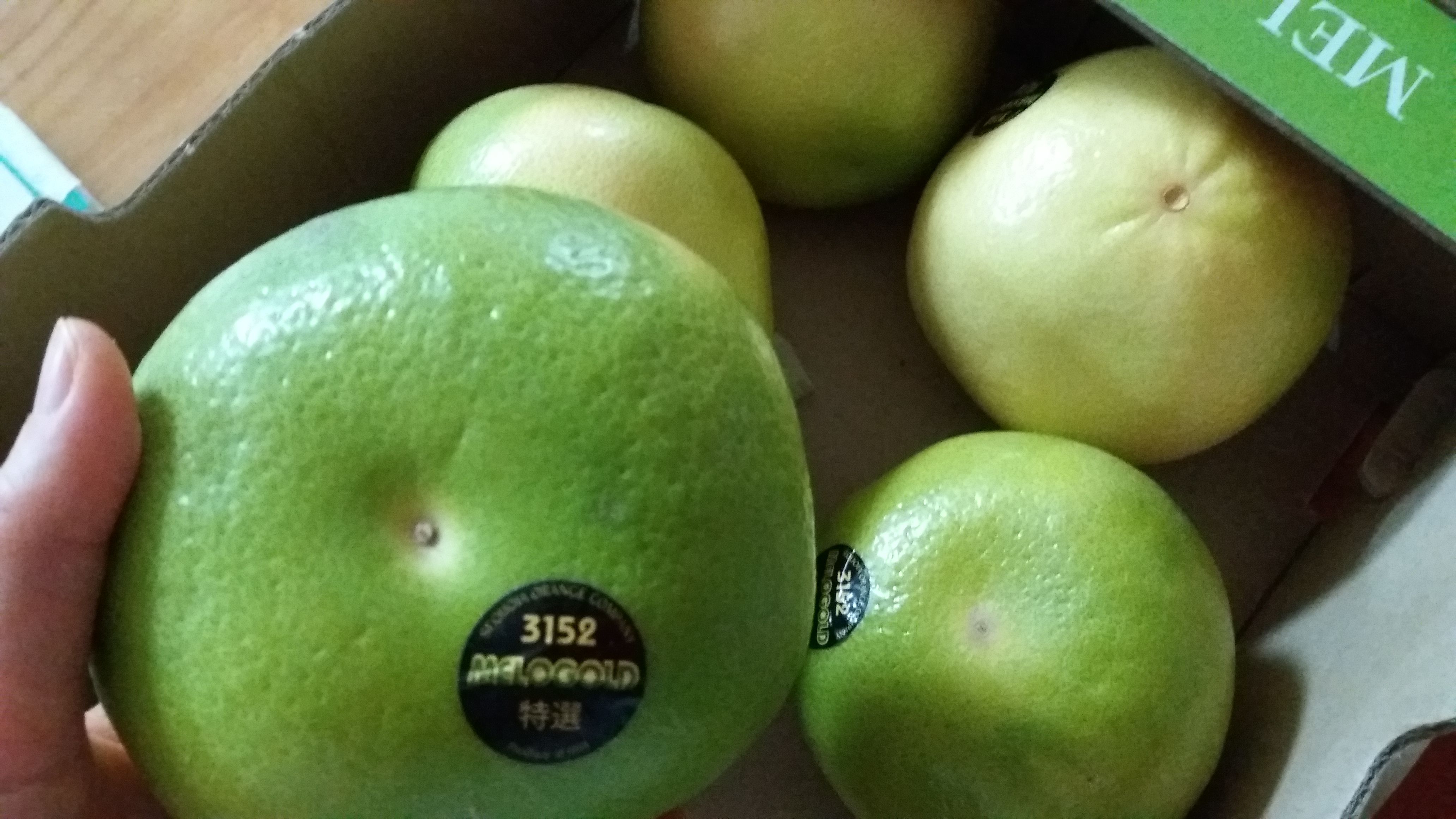 ์ฝ์คํธ์ฝ ์๋ชฝ