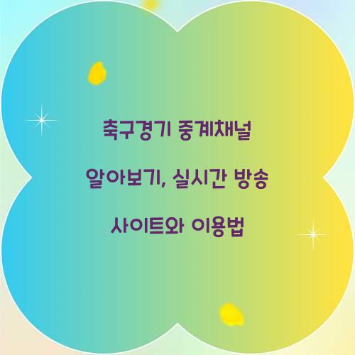 ์ถ๊ตฌ๊ฒฝ๊ธฐ ์ค๊ณ์ฑ๋