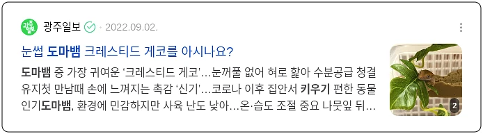 도마뱀 키우기 포인트_3_subsection