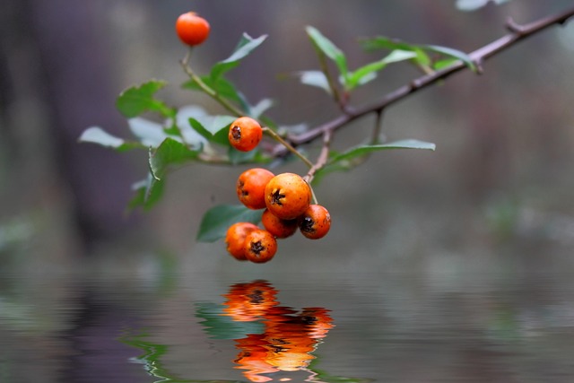 엉덩이 근육강화운동 9