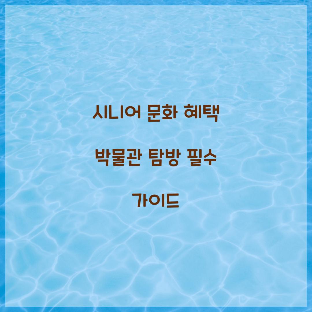 시니어 문화 혜택 박물관