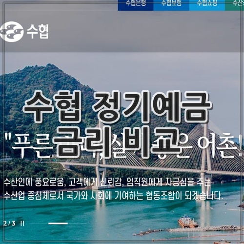 수협 정기예금 금리 비교