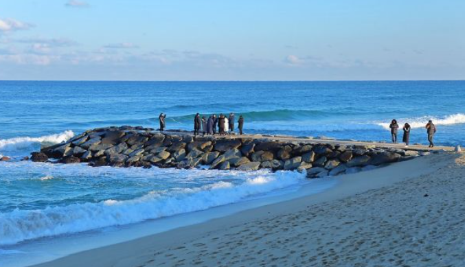 1월 강원도 가볼만한곳 ❘ 국내 겨울 갈만한곳 새해 여행지 추천 ❘ 데이트 여행 가족 실내 나들이 당일치기
