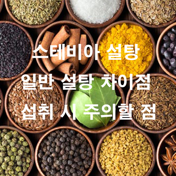 스테비아 설탕 일반 설탕 차이점 섭취 시 주의할 점