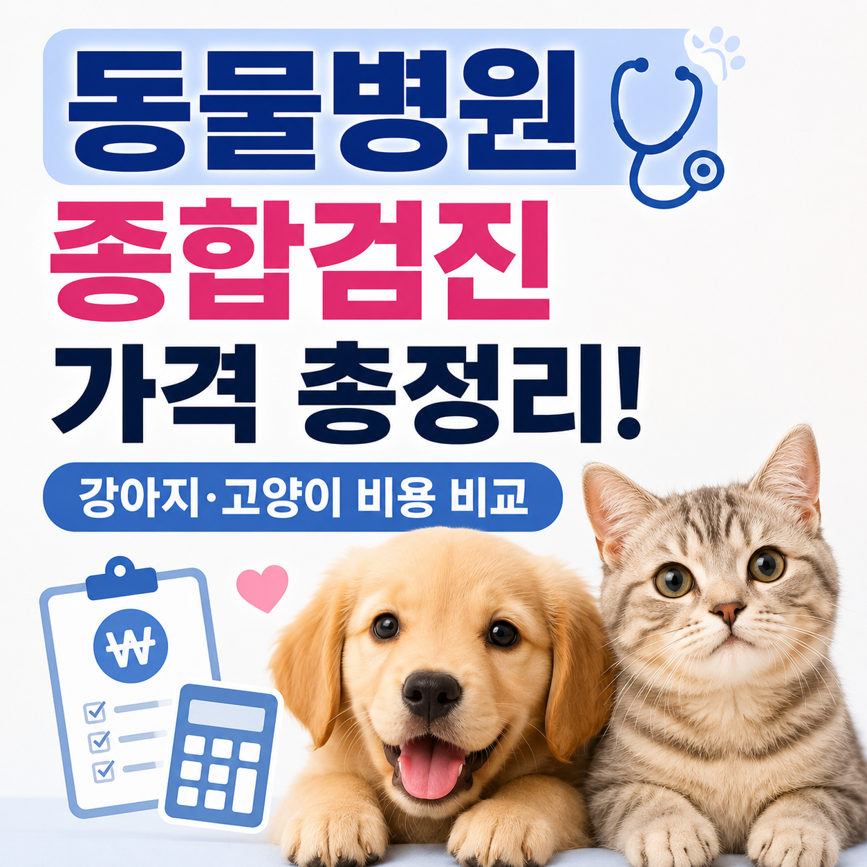 동물병원 종합검진
