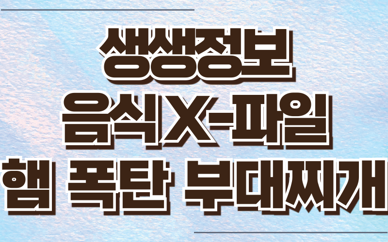 생생정보 음식X파일 햄폭탄부대찌개