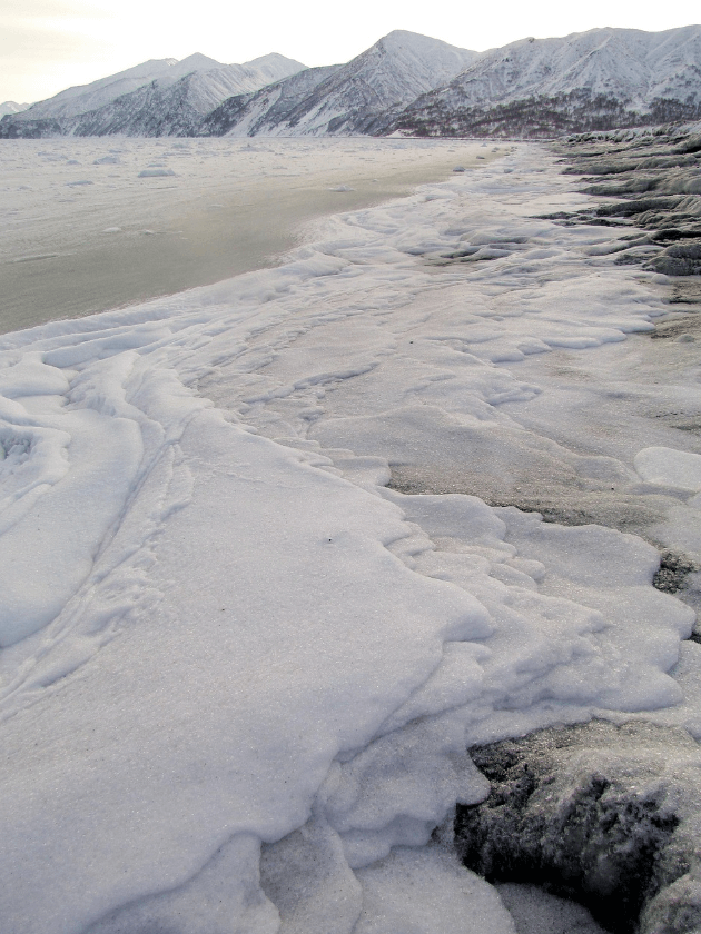제로웨이스트 보험 산업과 지속 가능한 리스크 관리 모델