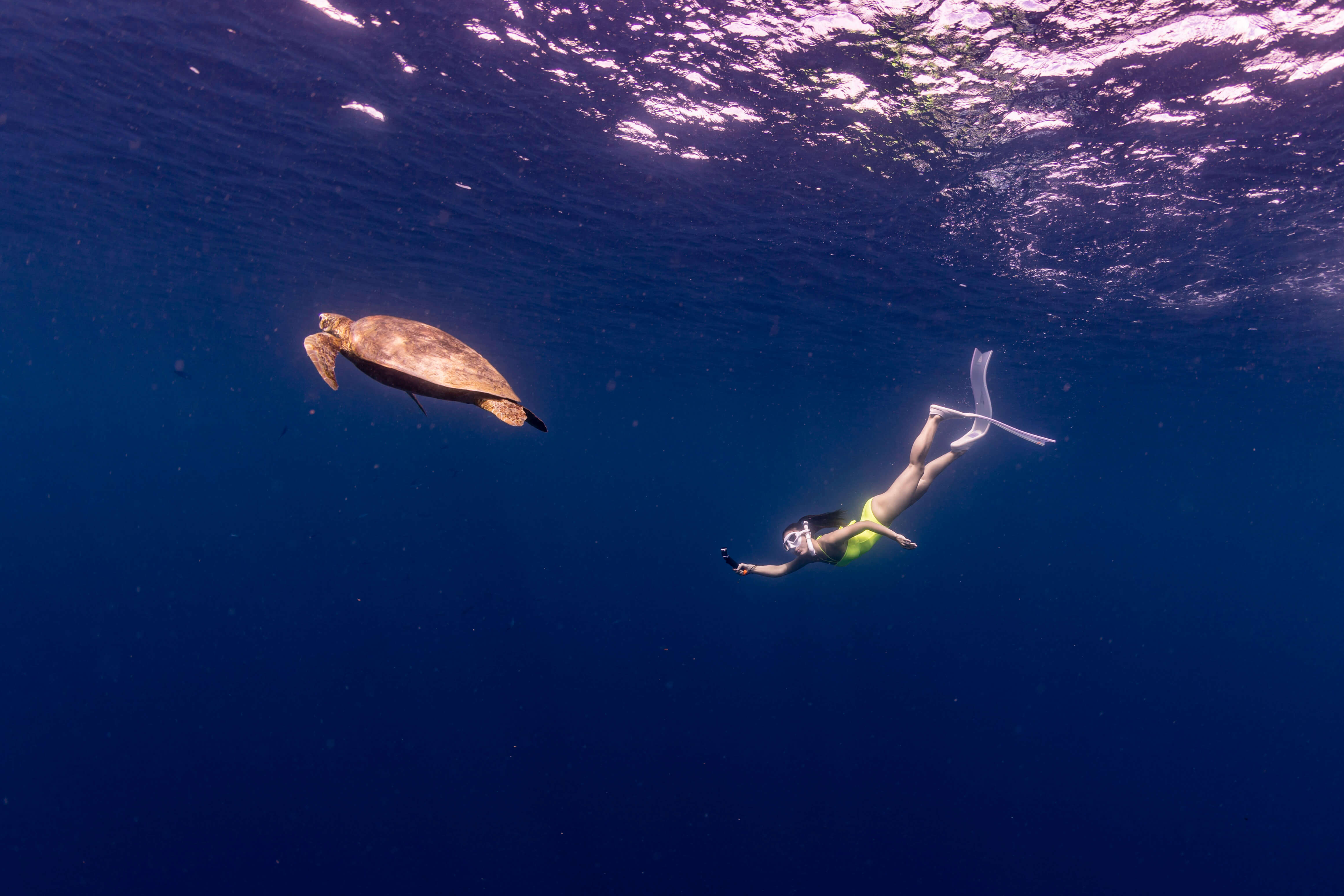 그랑블루 발리카삭