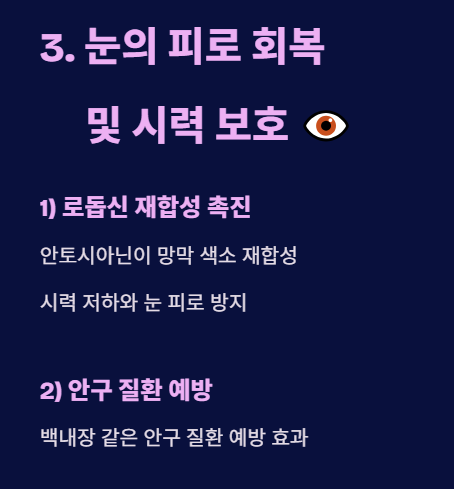 가지의 효능 : 눈의 피로 회복 및 시력 보호