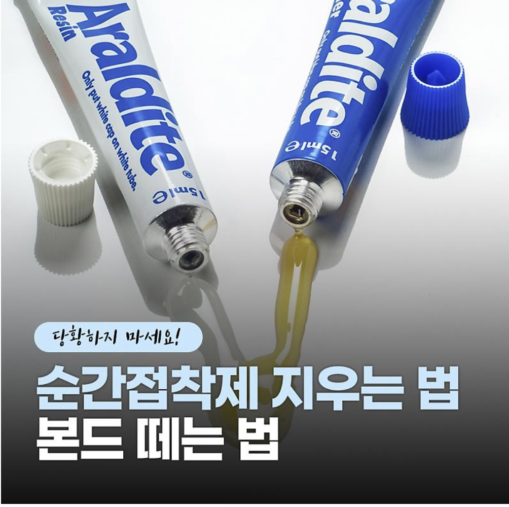 본드사진