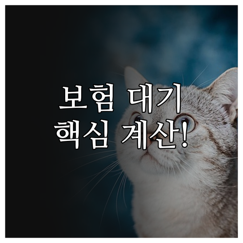 펫보험 대기기간 계산 방법과 기산일 ..