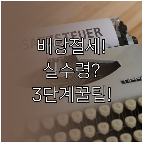 배당금 실수령액 늘리는 절세 전략 3..