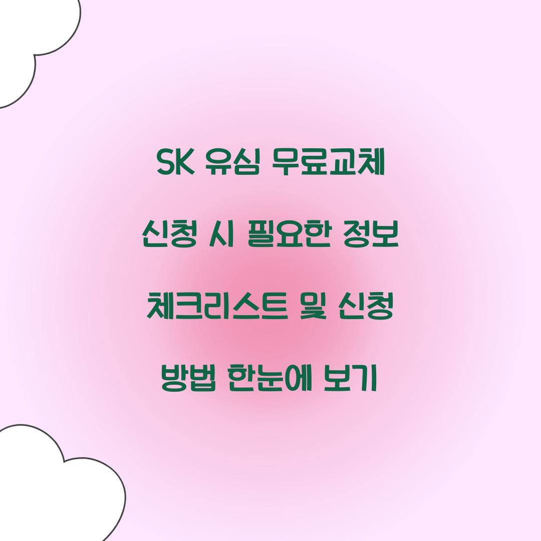 SK 유심 무료교체 신청 시 필요한 정보 체크리스트