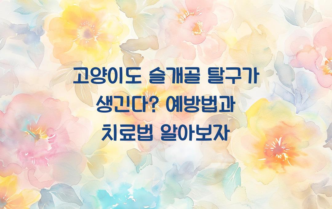 고양이도 슬개골 탈구가 생긴다? 예방법은?