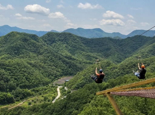 단양 여행, 짚 라인