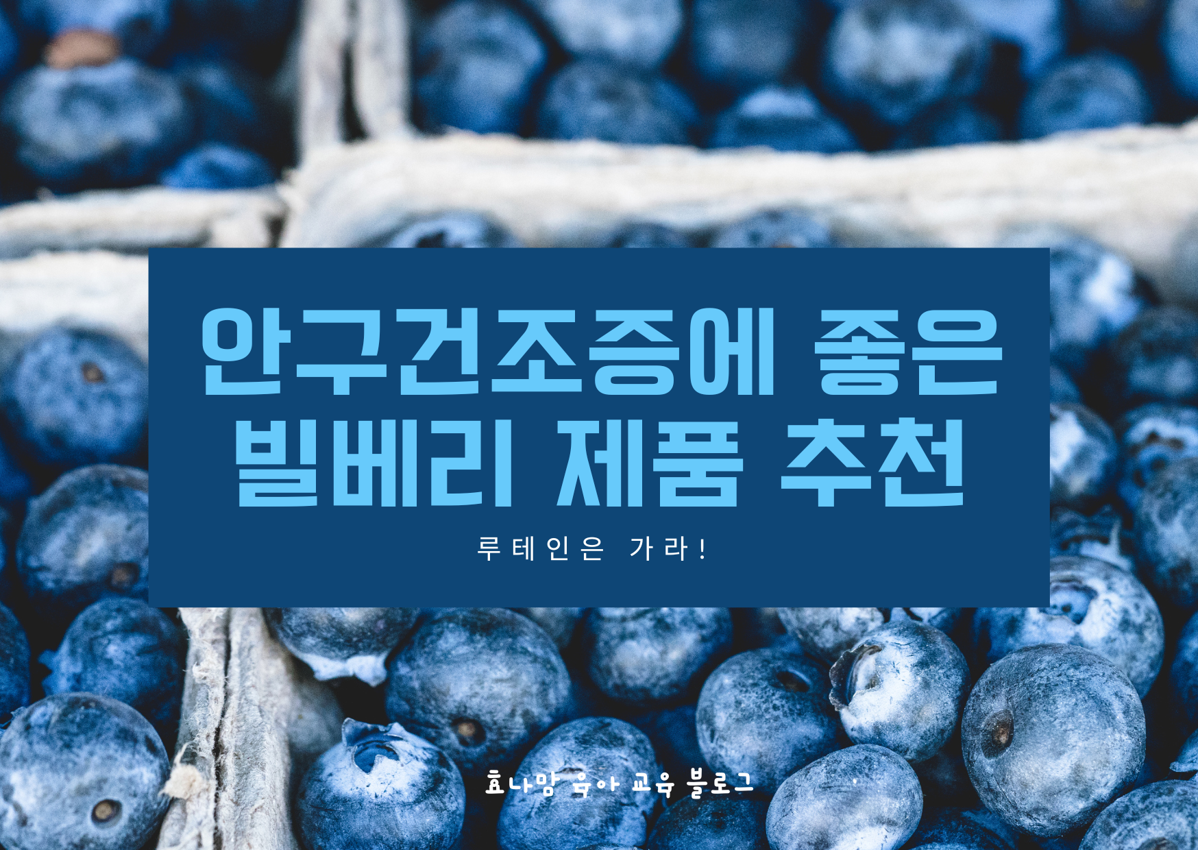 빌베리
