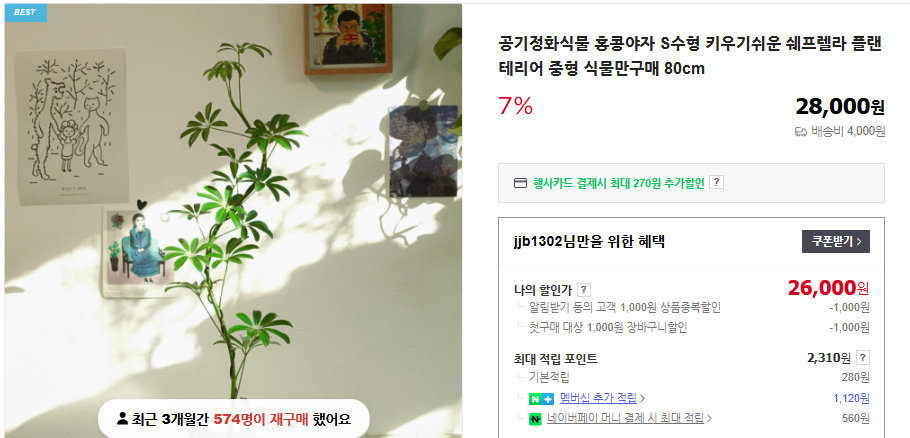 홍콩야자 키우기 및 관리법 (+ 가지치기 번식 수경 재배)