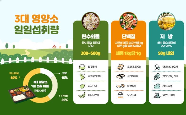 단백질, 탄수화물, 지방, 일일섭취량