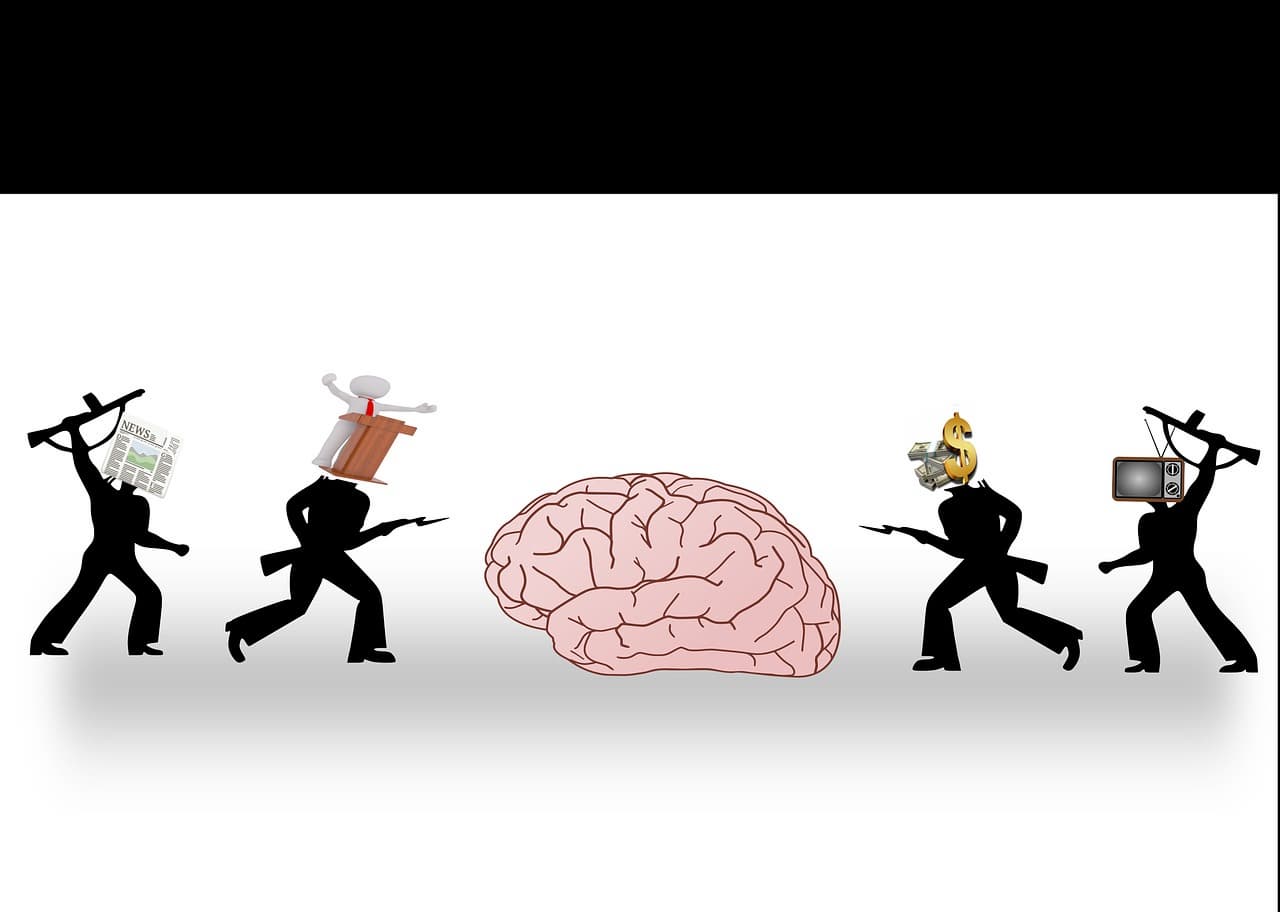 산책이 뇌에 주는 마법 자연이 두뇌를 치유하는 방법