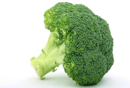신선한 브로콜리