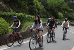 한산도 배편 요금