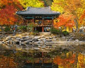 단풍여행 1박2일 버스 단풍구경