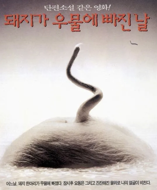 홍상수 프로필