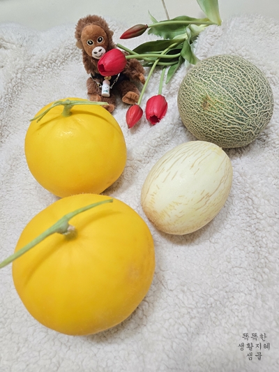 국산 멜론 3종 비교! 록멜론 양구멜론 백자멜론 맛/당도/식감 총정리