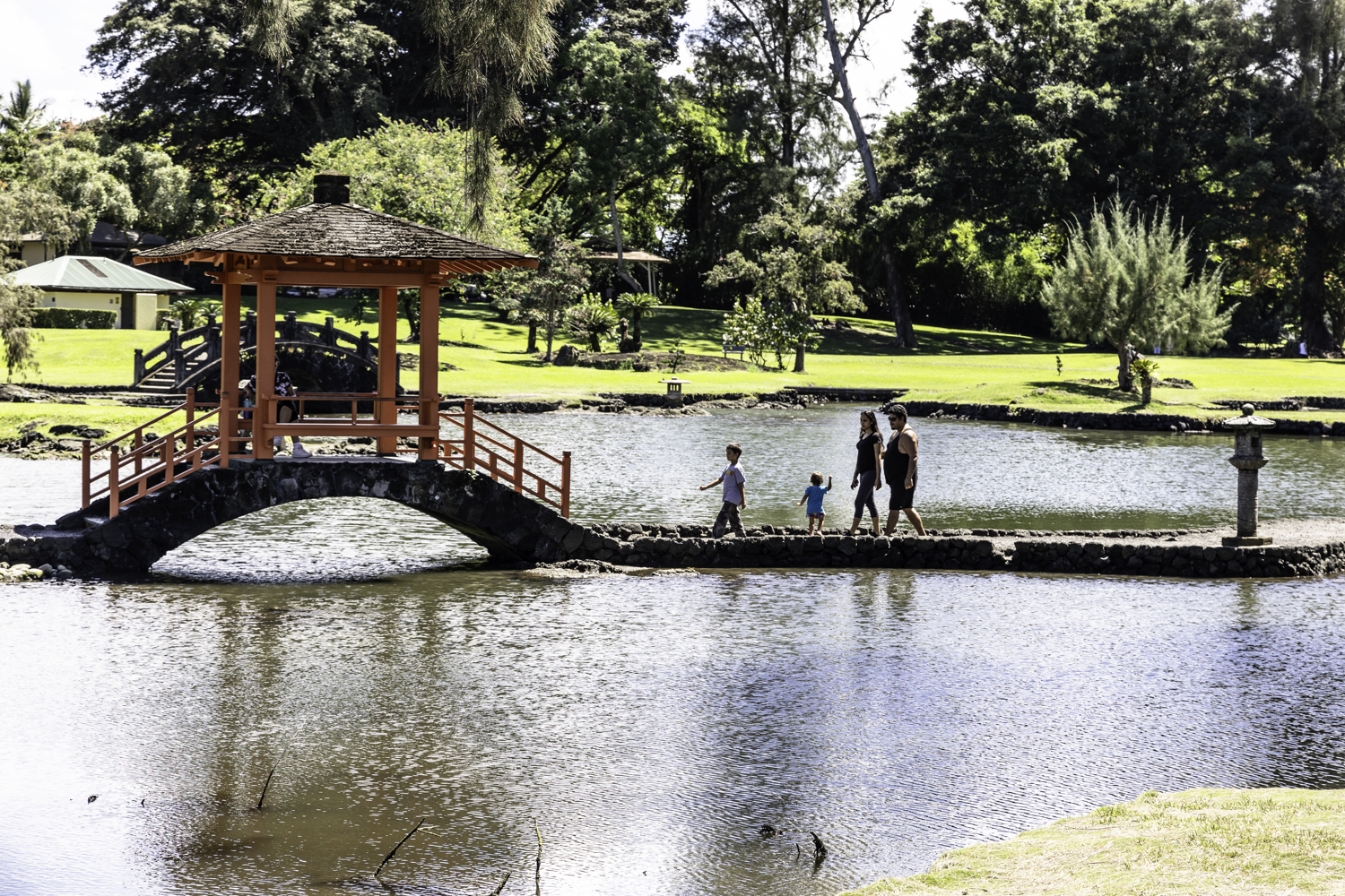 빅아일랜드 퀸릴리우오칼라니 가든