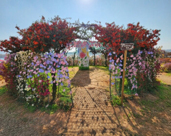 서산 국화축제_15