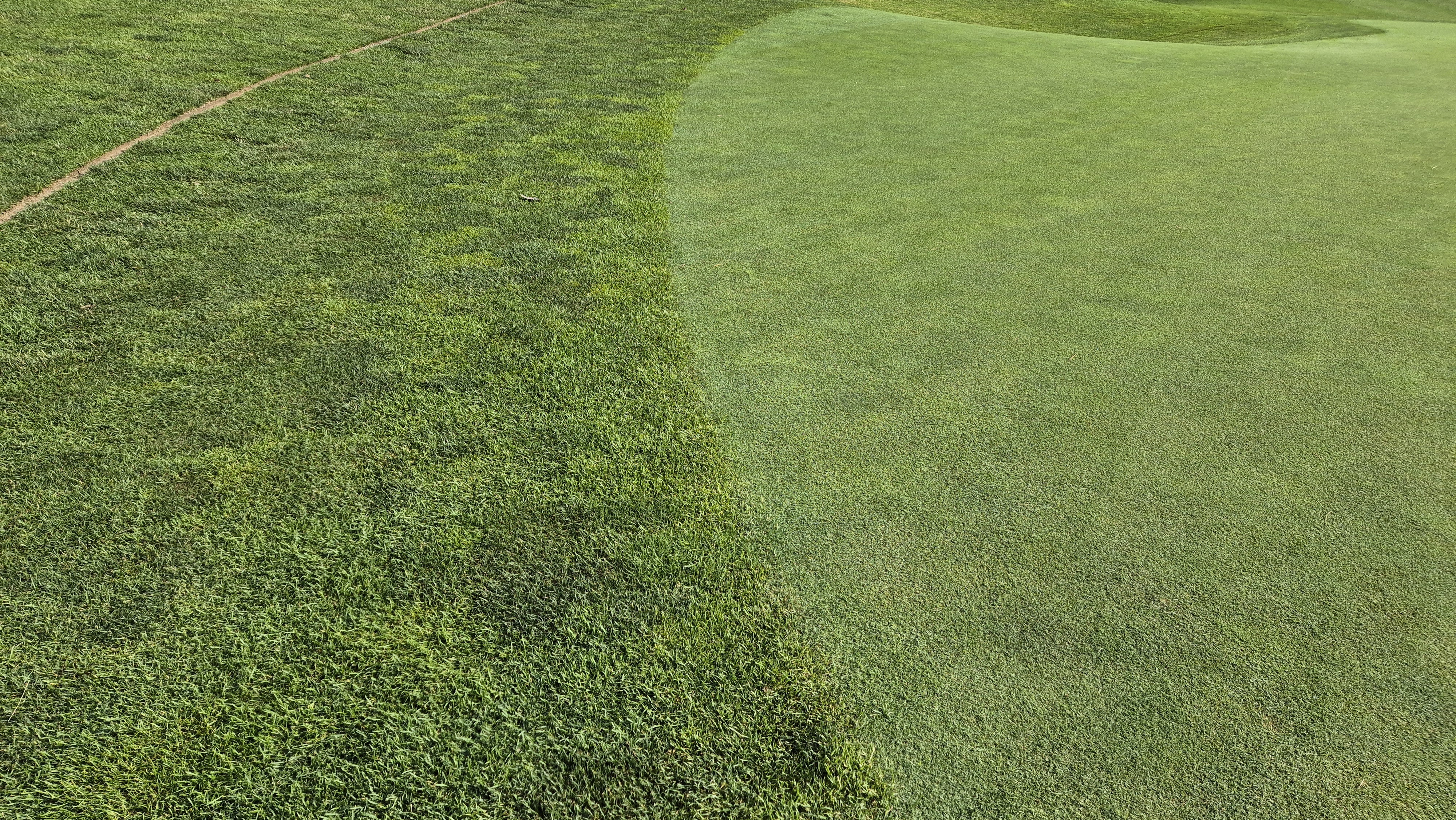 샤인데일cc 라운드 후기