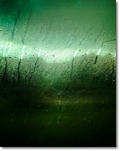 제습기 추천 가격 비교 원리 효과 2024