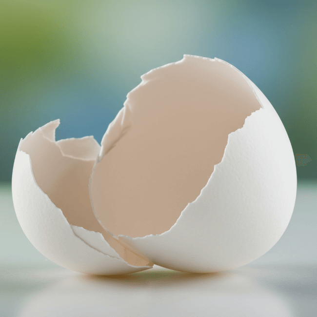 하얀 달걀껍질이 반으로 쪼개져 있는 모양