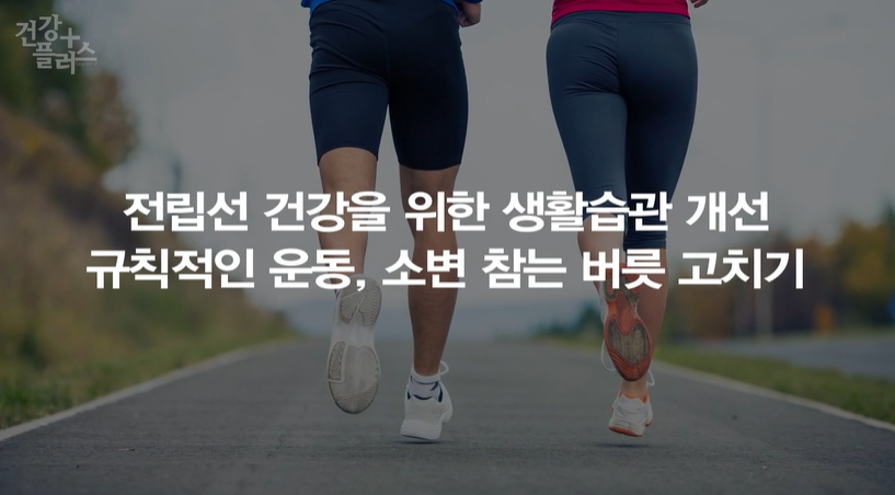 전립선비대증 치료약