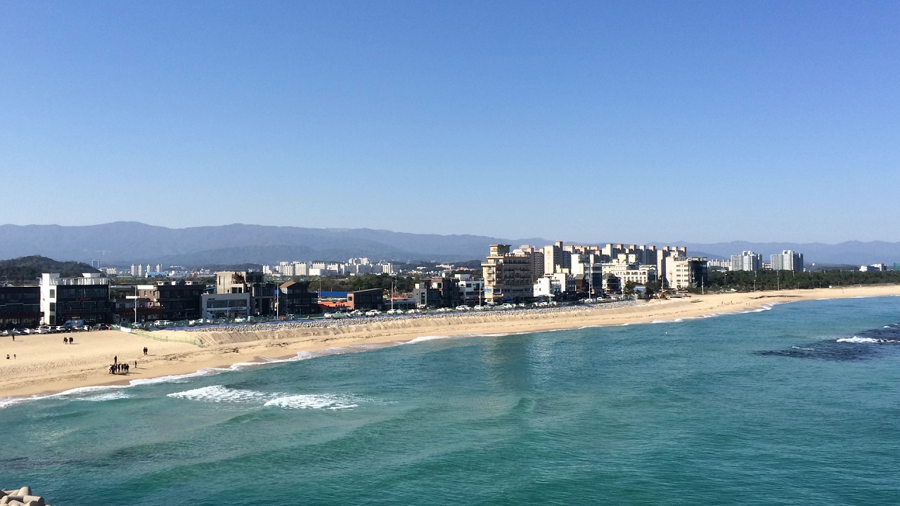 안목해변 커피거리