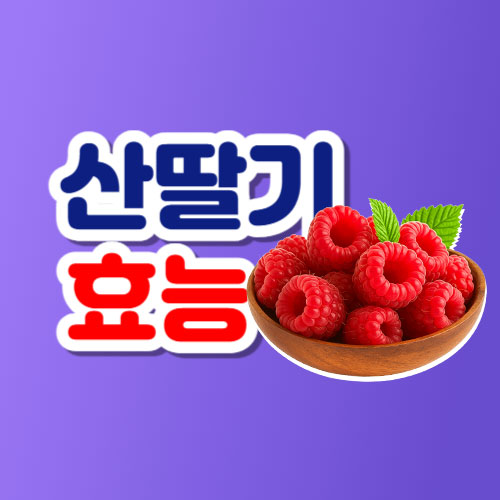 산딸기 효능