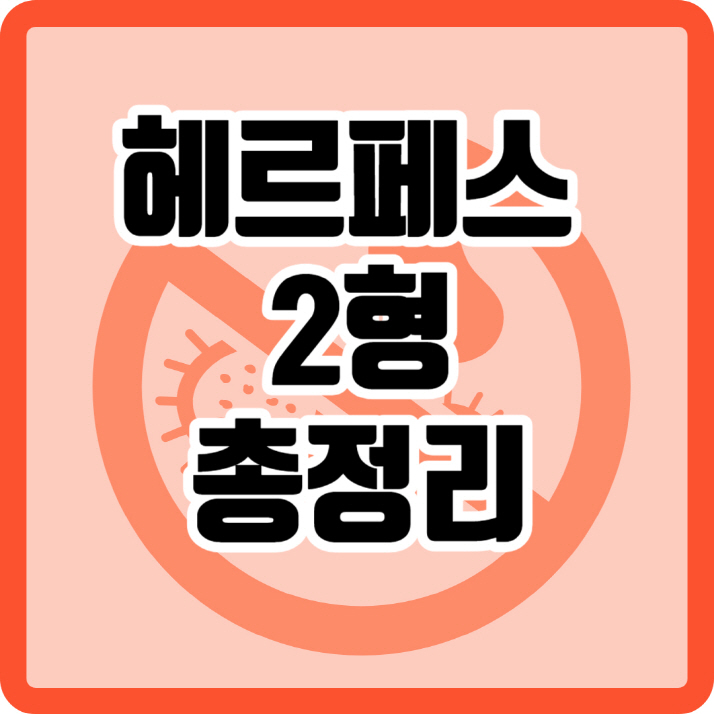 헤르페스 2형 총정리